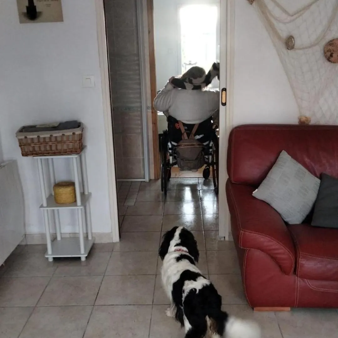 Chambre D Hotes Alsabreizh Lanvollon 0*,